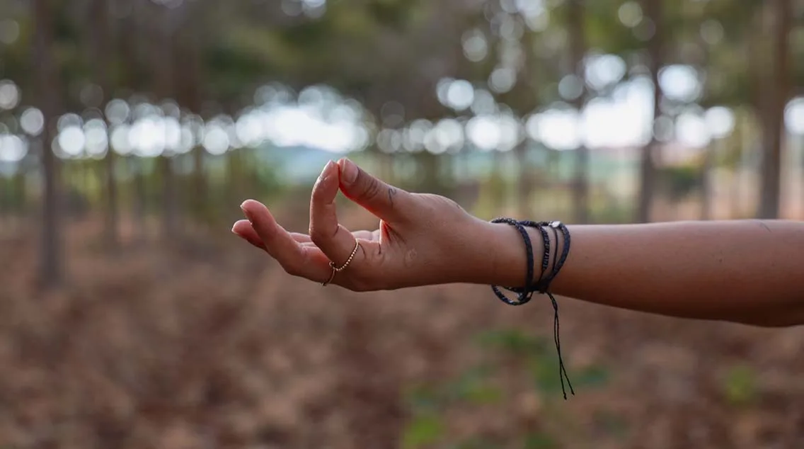 meditaciones mindfulness diarias