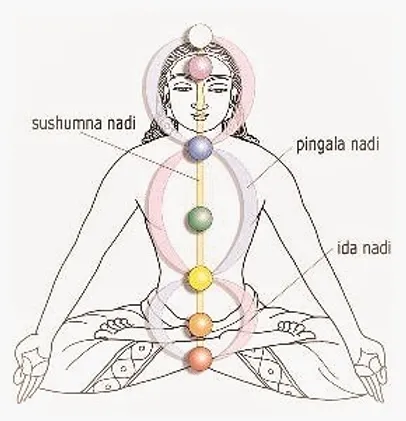 nadis y chakras yoga